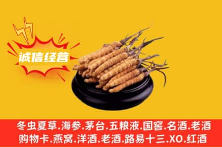 包头回收冬虫夏草